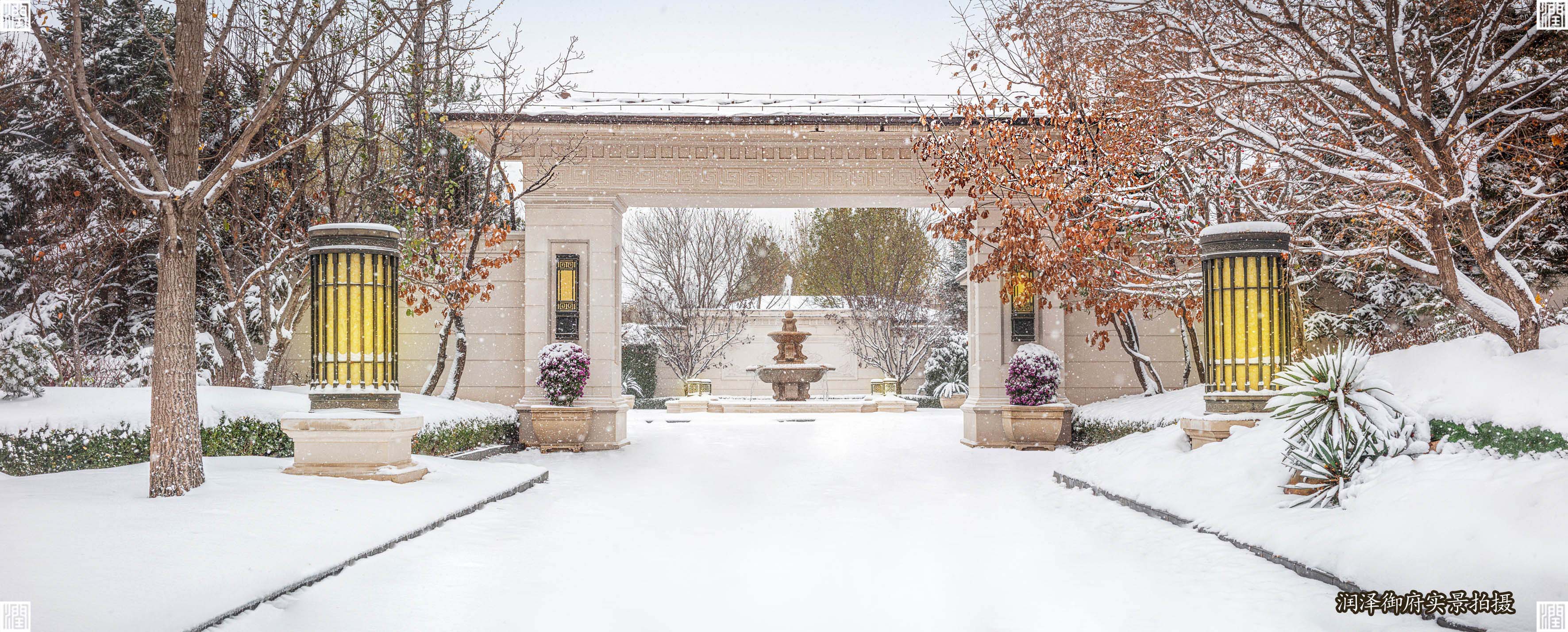 1766374339966999.jpg 5.jpg