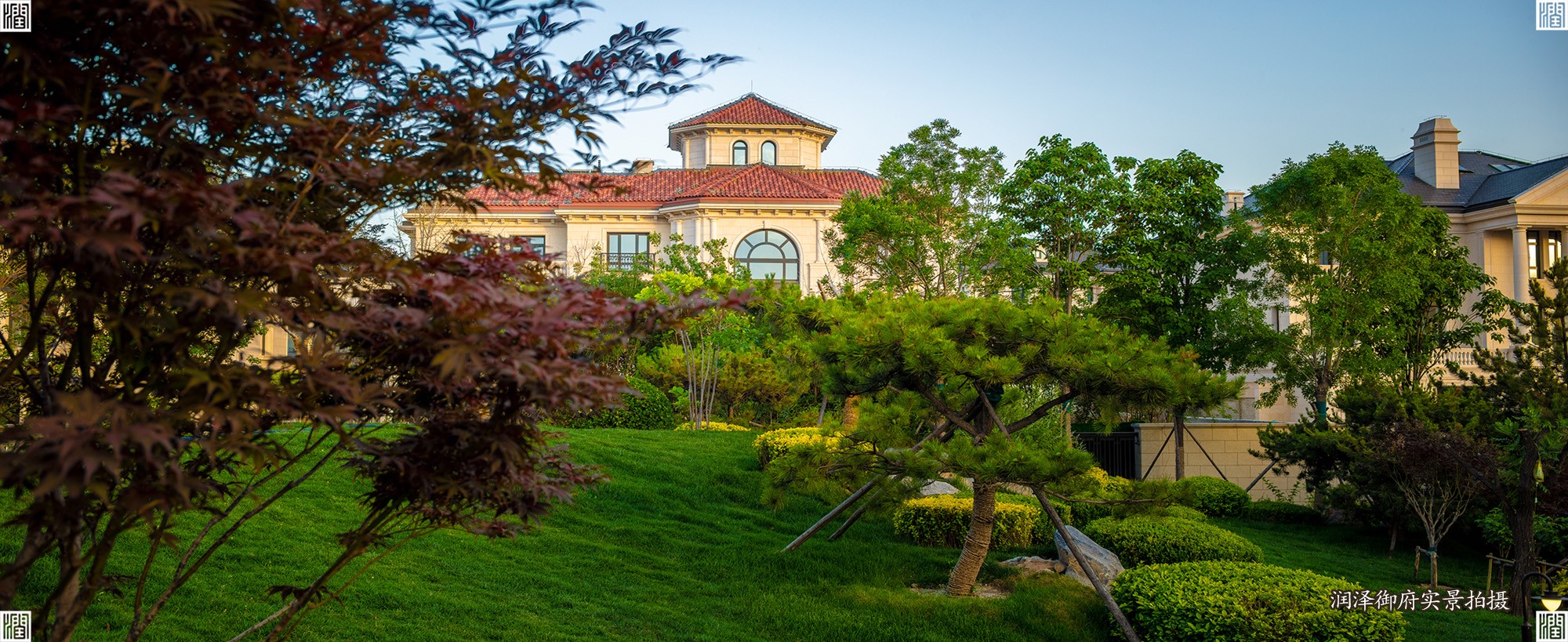 1767926701403359.jpg 5.jpg